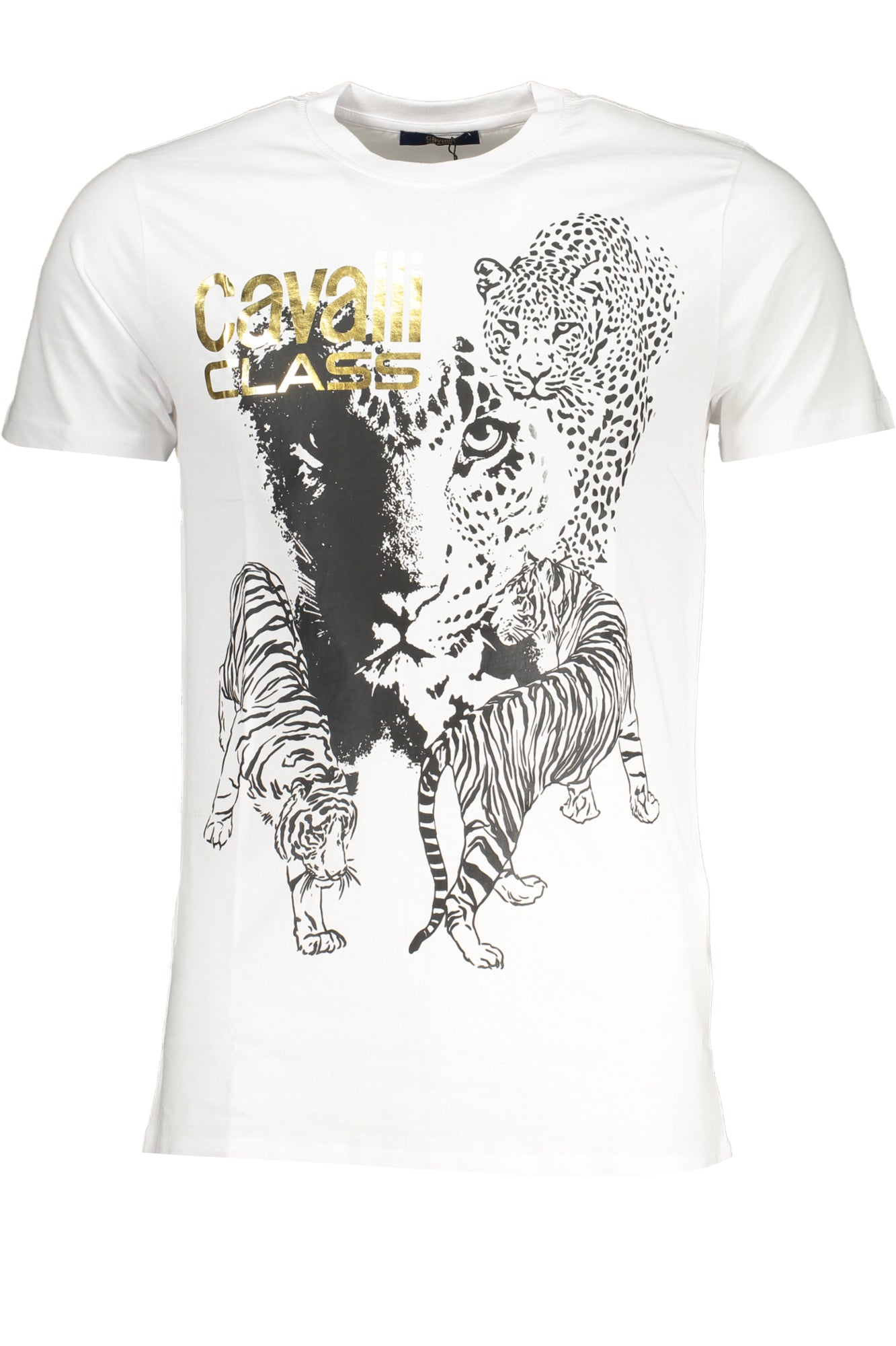 CAVALLI CLASS T-SHIRT MANICHE CORTE UOMO