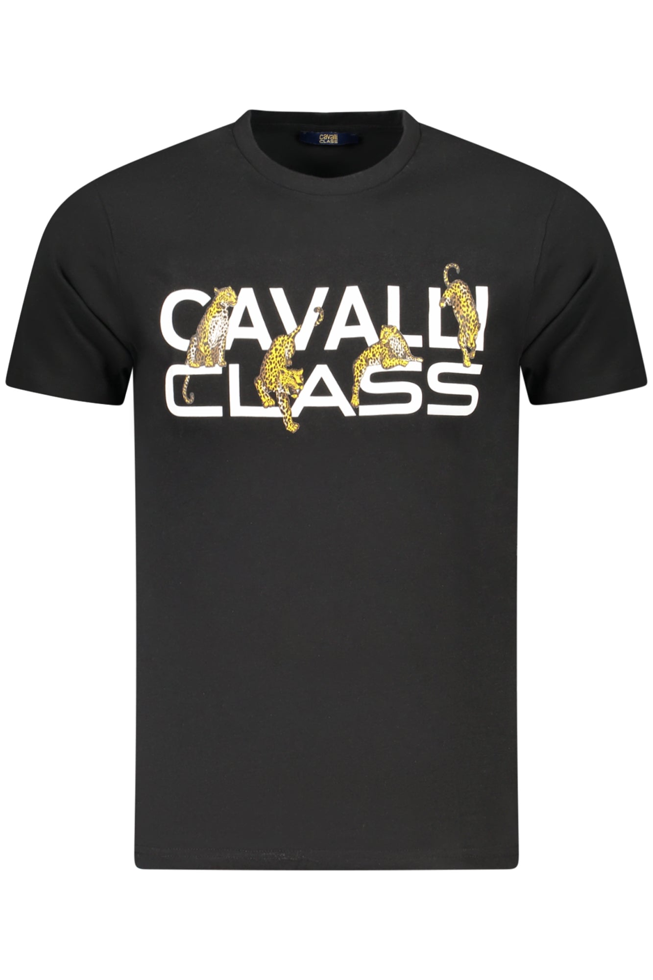 CAVALLI CLASS T-SHIRT MANICHE CORTE UOMO