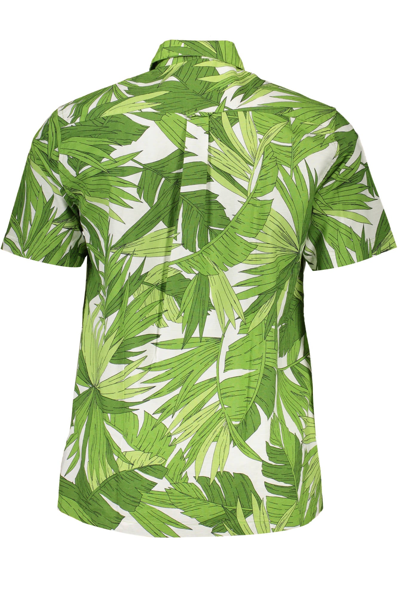 GANT CAMICIA MANICHE CORTE UOMO